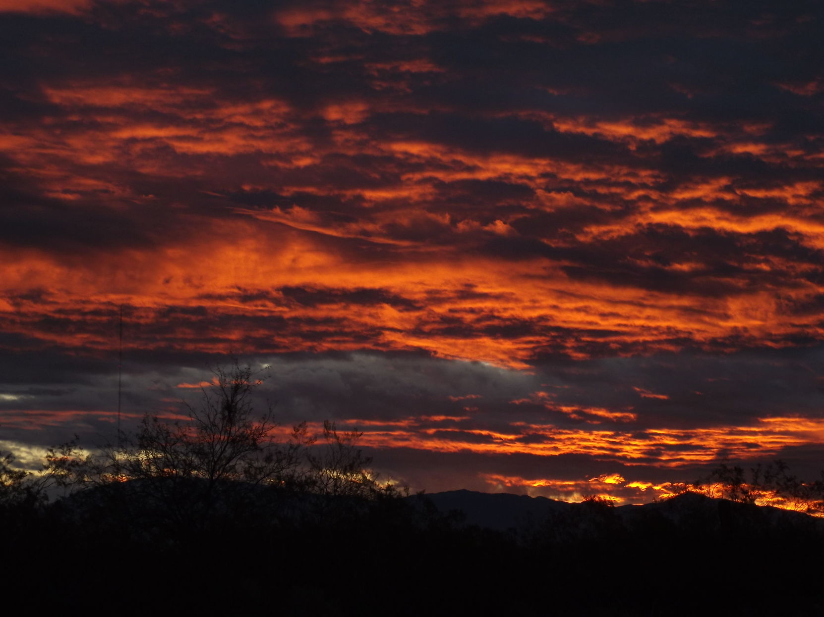 Sunrise along Silverbell Road